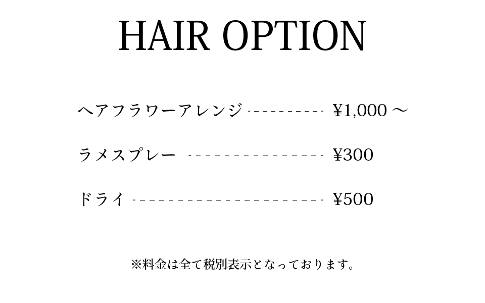 ヘアオプション